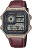 casio brown