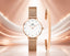 Daniel Wellington Petite Melrose Eggshell White with Classic Rose Gold Bracelet
