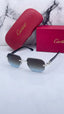 Cartier 8818 silver brown blue