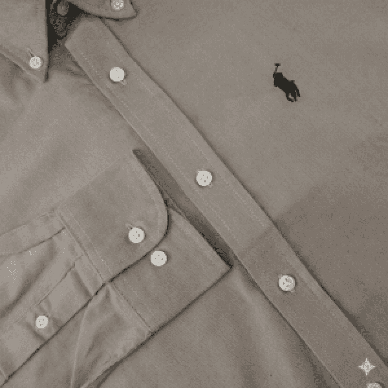 RALPH LAUUREN IMPORTED TRENDING CODE ROY LIGHT GREEN SHIRT