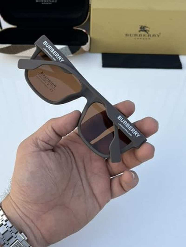 Burberry 4293 Brown