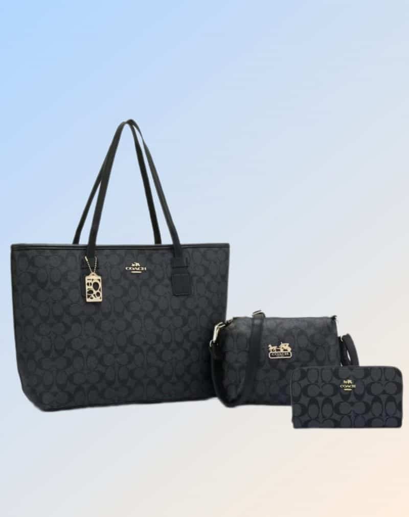 COACH_Premium_3pcs_Tote_Bag_746 Main image