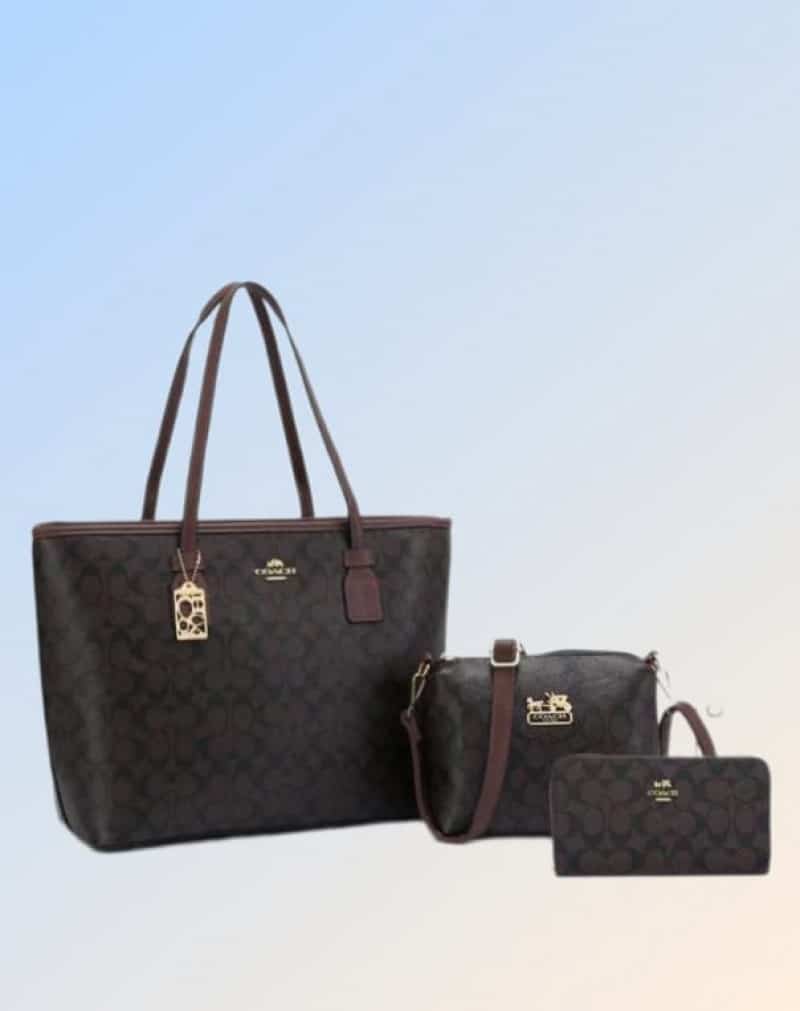 COACH_Premium_3pcs_Tote_Bag_747 Main image