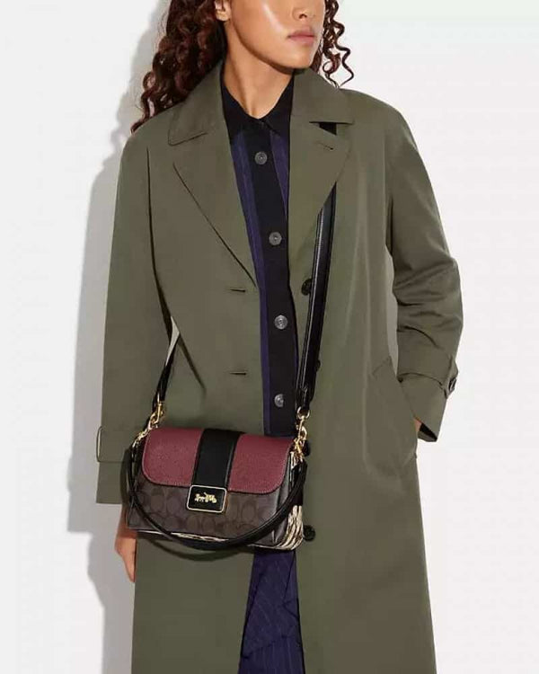 COACH_Bagute_Sling_Bag_with_Box_822
