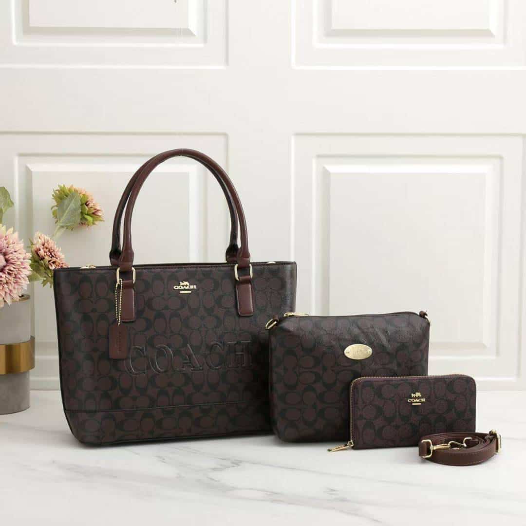 COACH_Premium_3pcs_Tote_Bag_1014 Main image