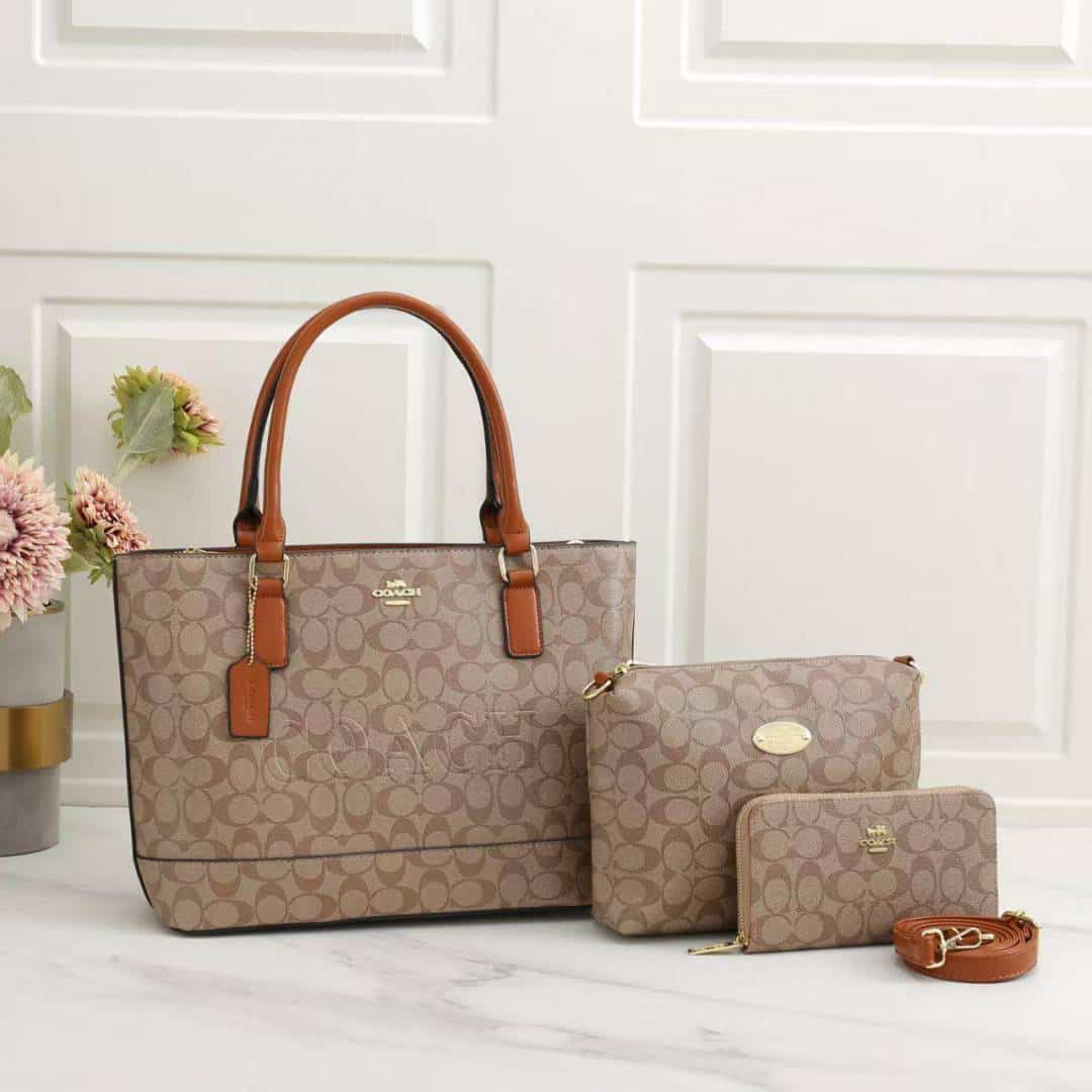 COACH_Premium_3pcs_Tote_Bag_1015 Main image