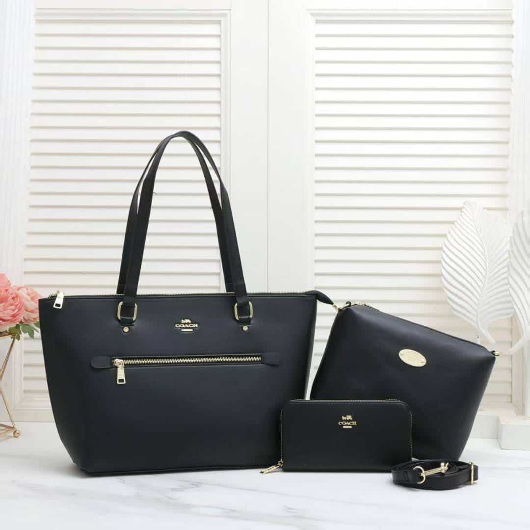 COACH_Premium_3pcs_Tote_Bag_1013 Main image