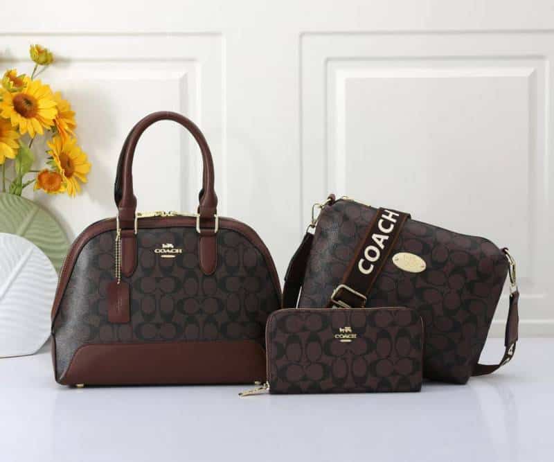 COACH_Premium_3pcs_Alma_Bag_1018 Main image