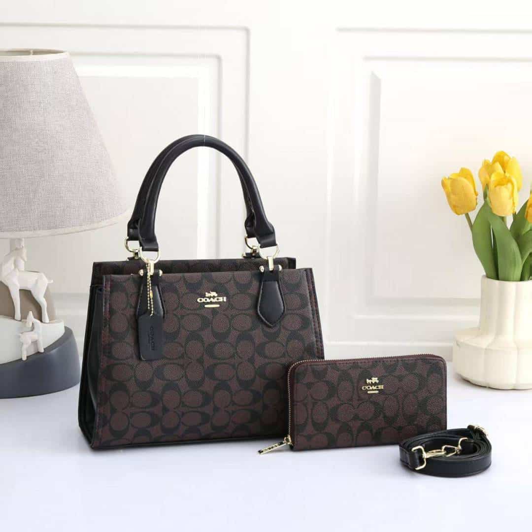 COACH_Premium_2pcs_Hand_Bag_1020 Main image