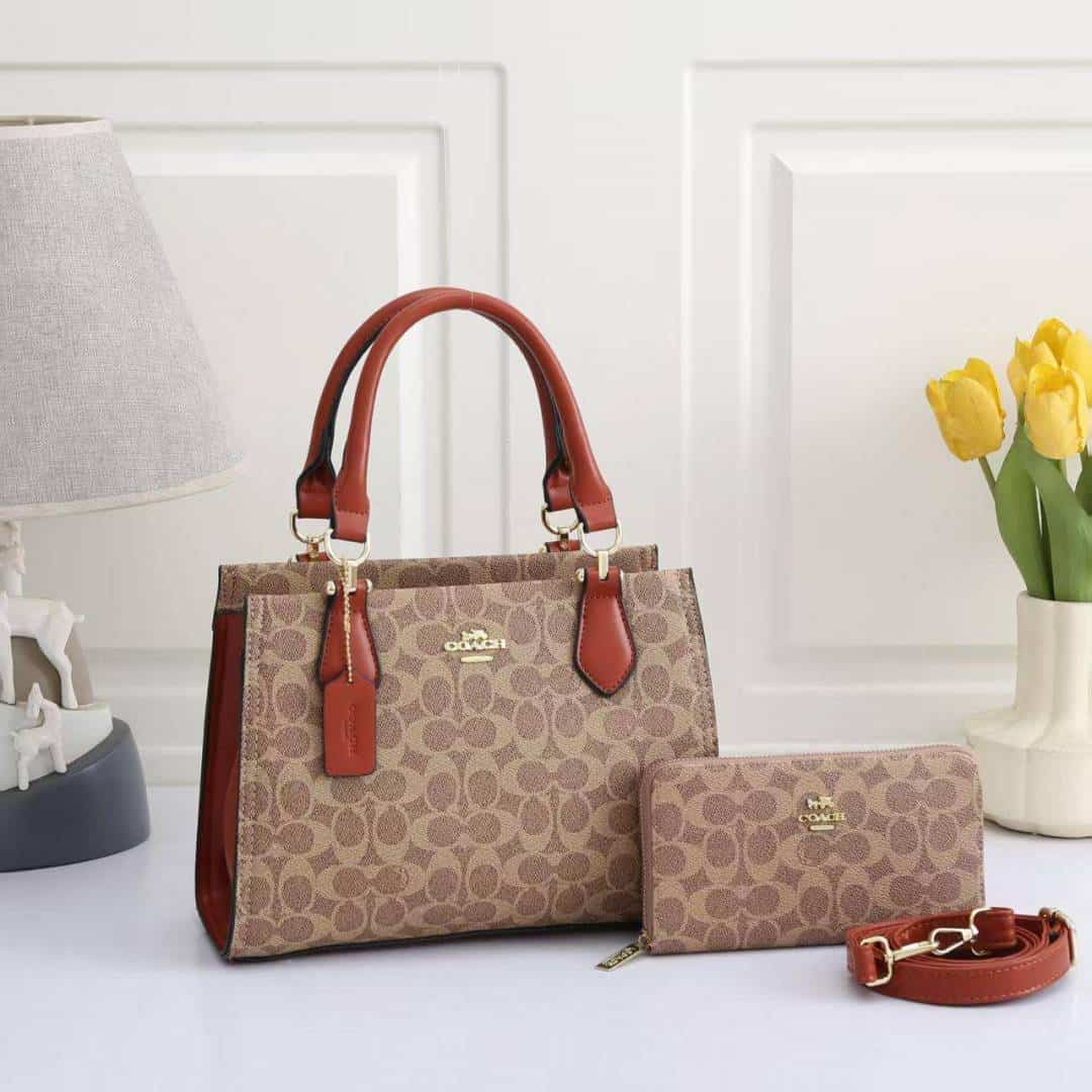 COACH_Premium_2pcs_Hand_Bag_1021 Main image