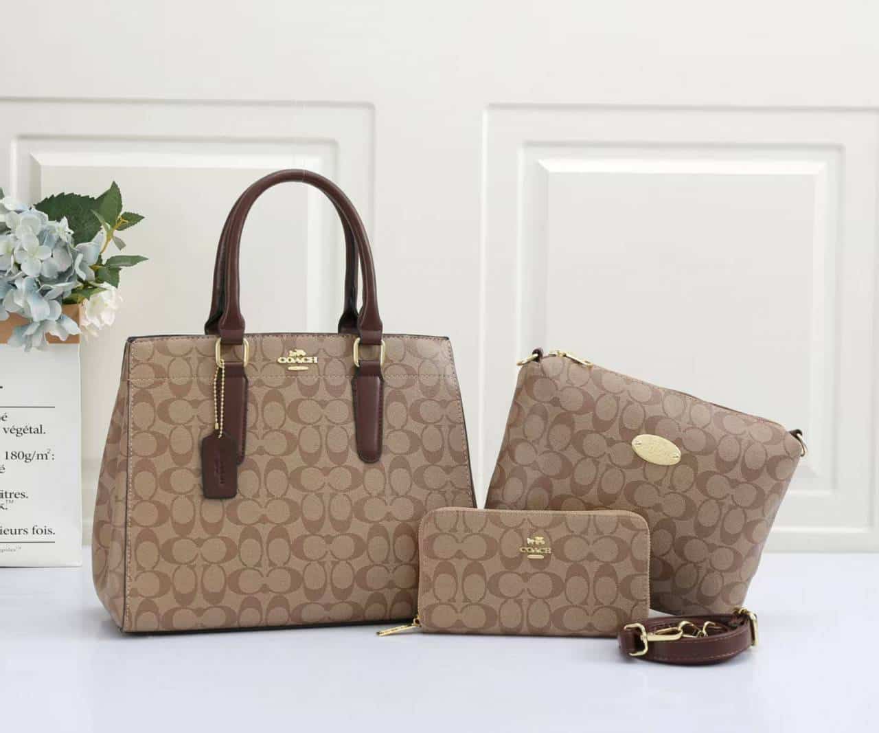 COACH_Premium_3pcs_Tote_Bag_1038 Main image