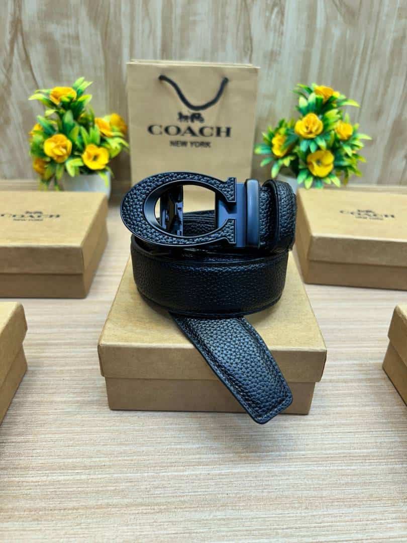 COACH_BELT_C179 Secondary image
