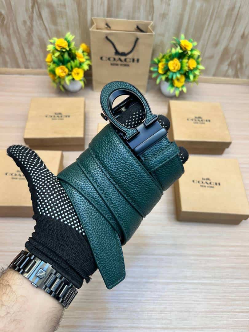 COACH_BELT_C172 Main image