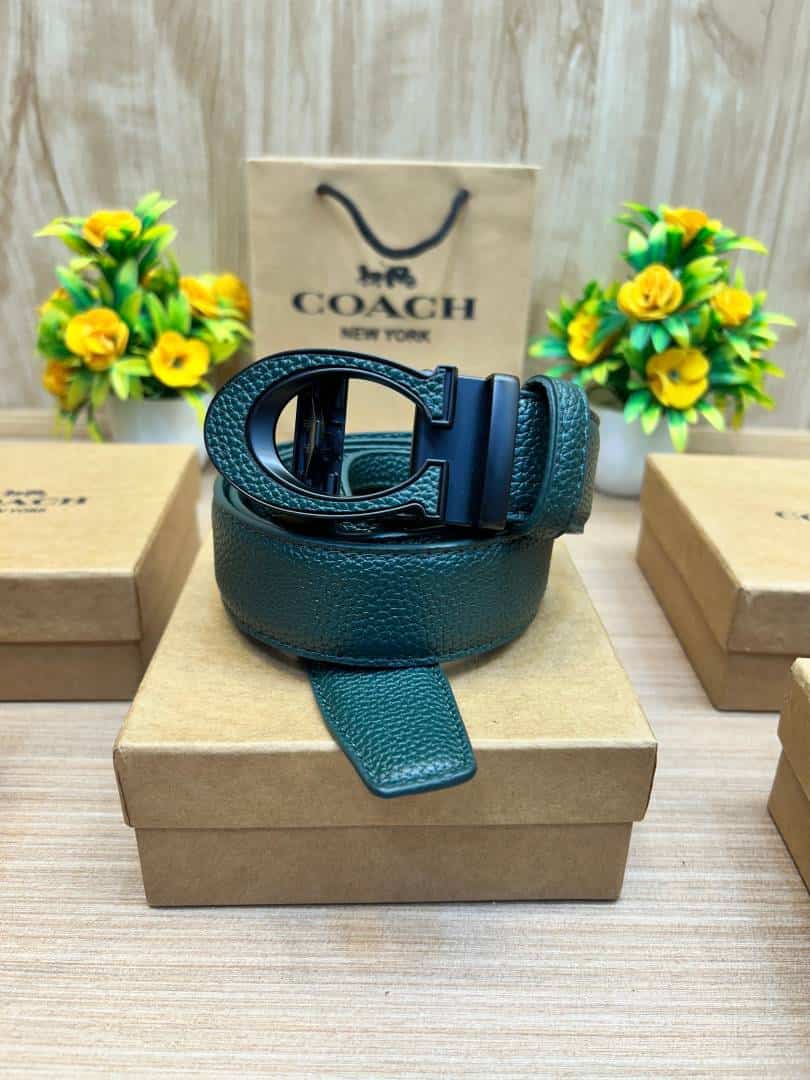 COACH_BELT_C172 Secondary image