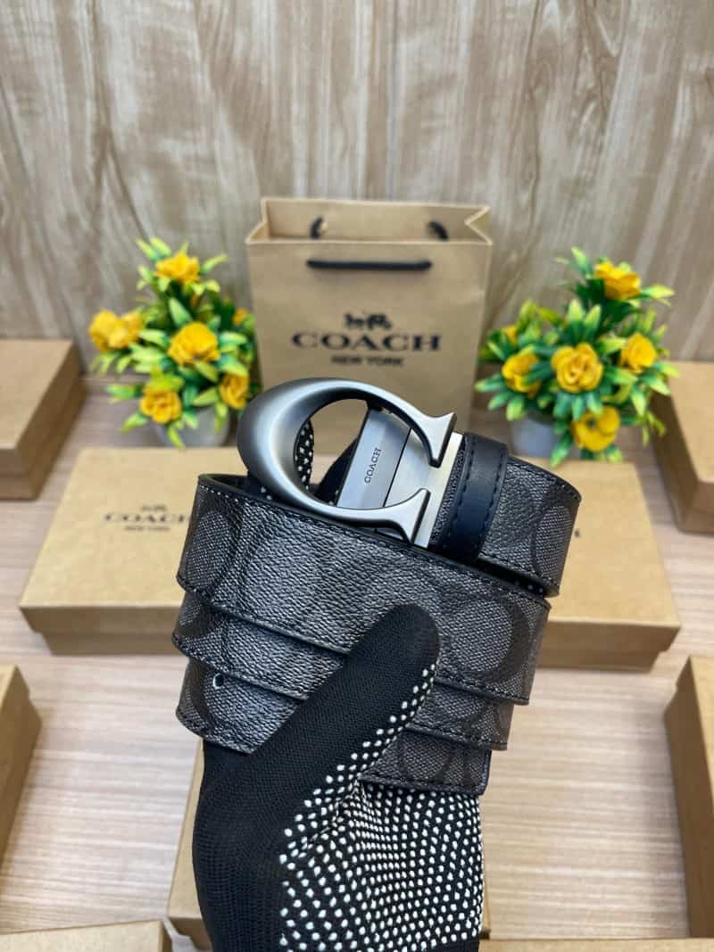 COACH_BELT_C150 Main image