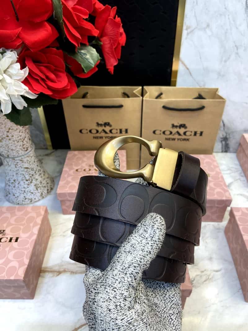 COACH_BELT_C124 Main image