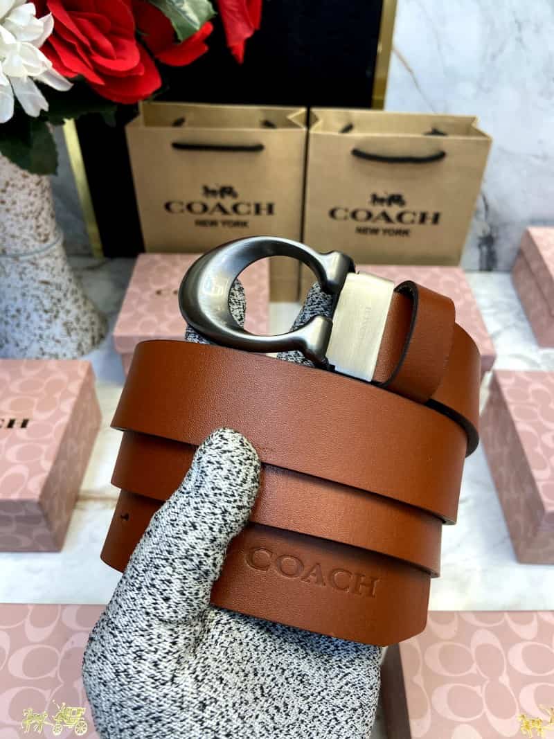 COACH_BELT_C116 Main image