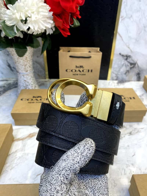 COACH_BELT_C104