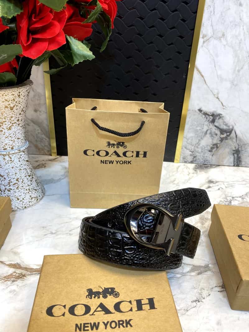 COACH_BELT_C76 Main image