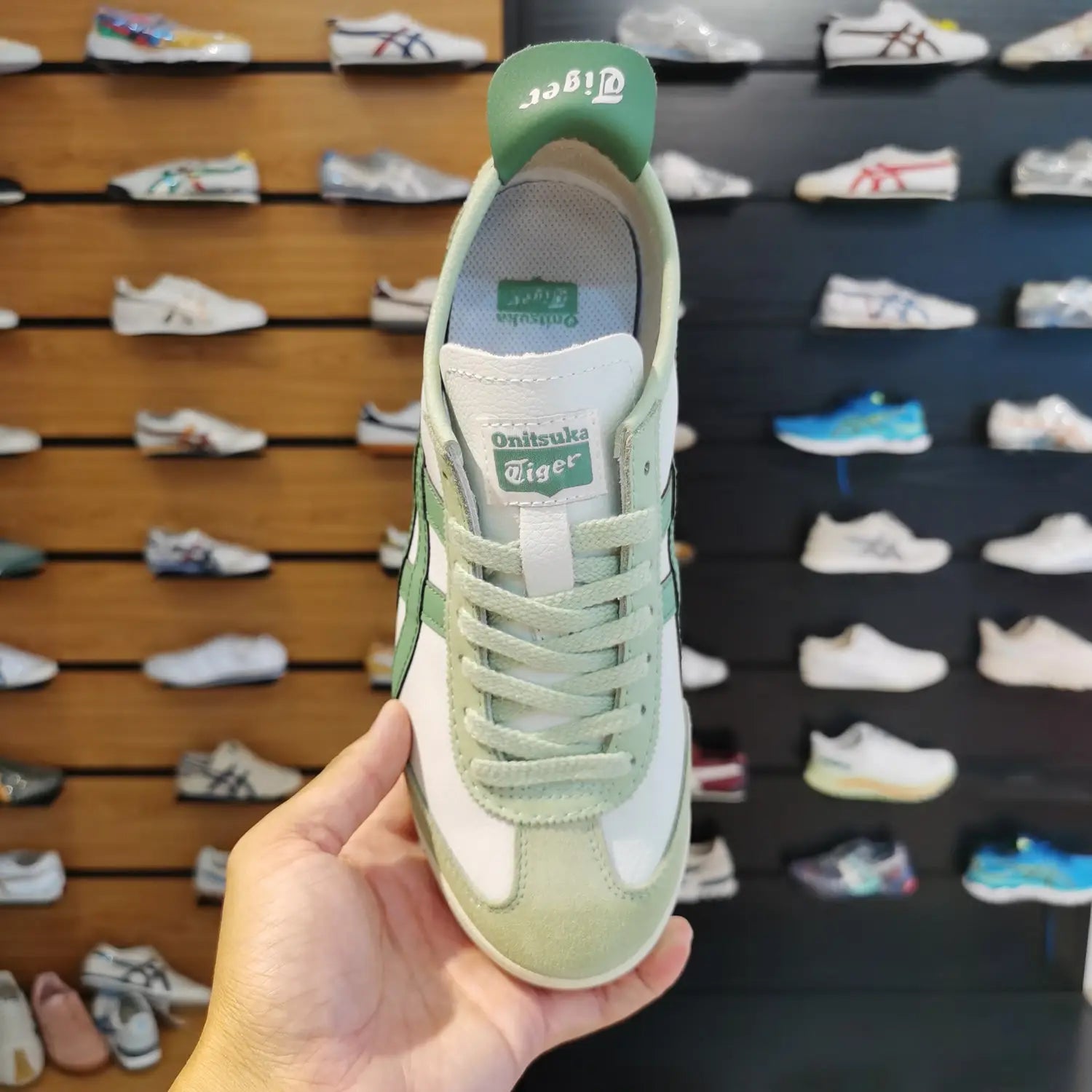 Onitsuka Tiger Mexico 66 Airy Green  Girls 7A Premium First Copy D-1857