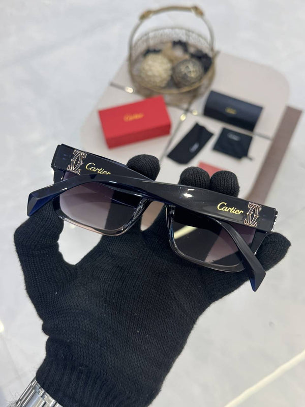 Cartier_80173_Multi_Unisex_Article