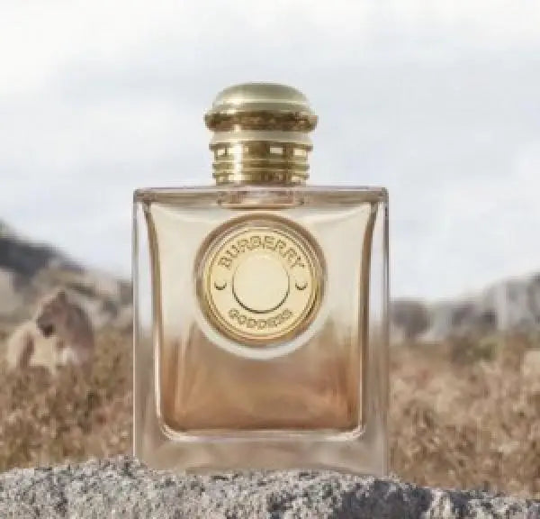 170 Burberry Goddess EDP 100ML - For Her