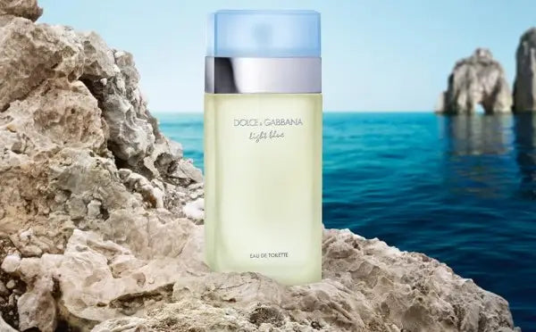 209 Dolce & Gabbana Light Blue Eau de Toilette 100ml - For Her