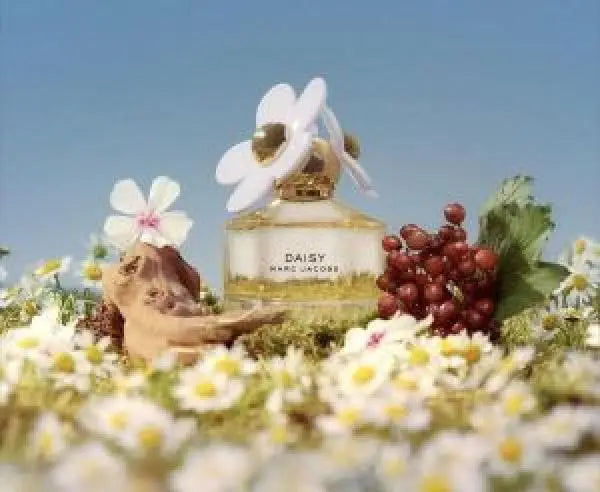 251 Marc Jacobs Daisy EDT 100ML