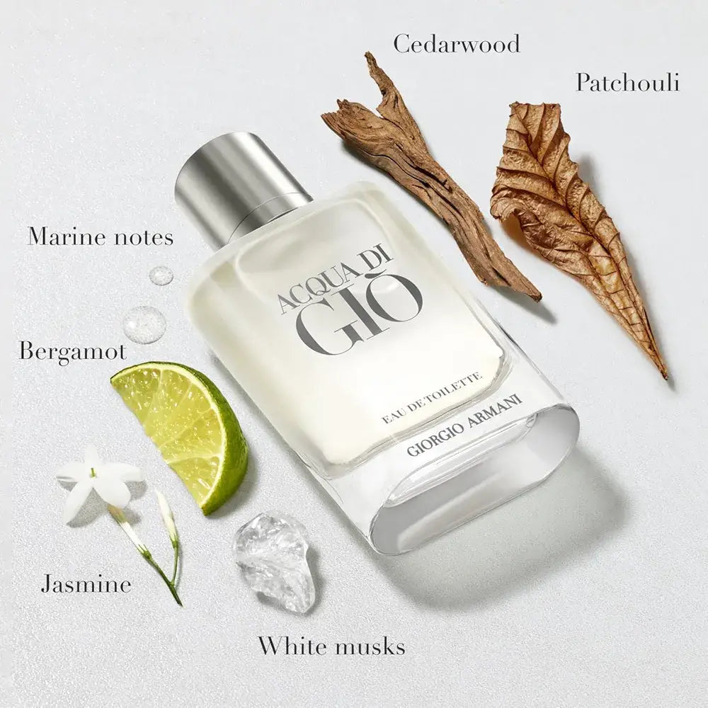 343 Giorgio Armani Acqua Di Giò Eau De Toilette 100ML - For Him