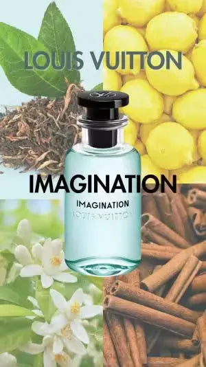 423 Louis Vuitton Imagination Eau De Parfum 100ml - For Men