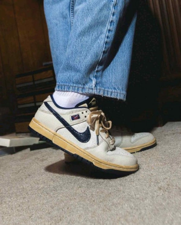 THE STRANGER THINGS X NIKEE SB DUNK