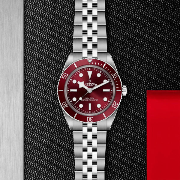 Tudor Black Bay Automatic ZR Quality
