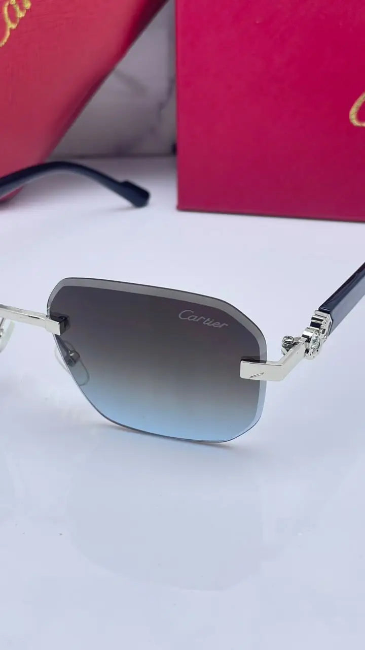 Cartier 8818 silver brown blue