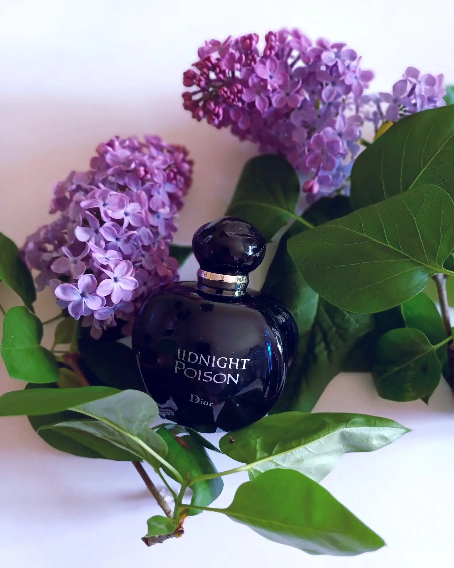 513 Dior Midnight Poison Eau de Parfum 100ml - For Her